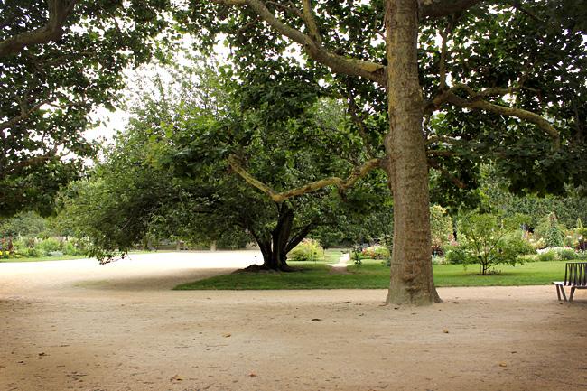 Le Jardin des Plantes de Paris malgré la pluie