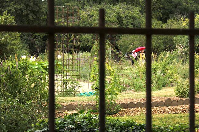 Le Jardin des Plantes de Paris malgré la pluie