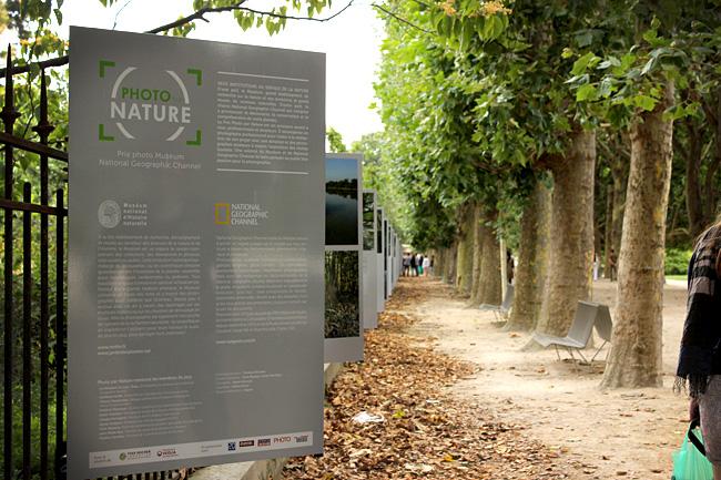 Le Jardin des Plantes de Paris malgré la pluie