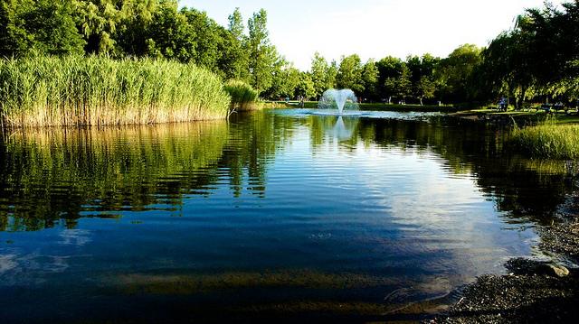 anteketborka.blogspot.com, parc77