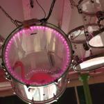 Pink Flamingo : Le bon plan street food à Paris