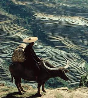 Que faire lors d’un voyage au Yunnan ?