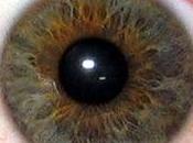 dilatation pupilles révèle votre orientation sexuelle