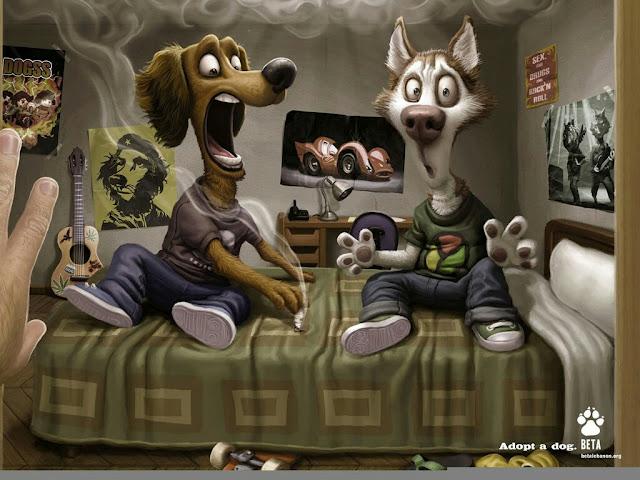 Les petits bonheurs à venir...