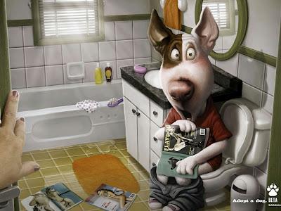 Les petits bonheurs à venir...