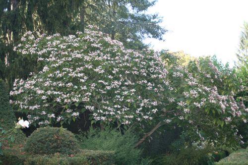 clero tri courtoiseau 11 sept 2010 041.jpg