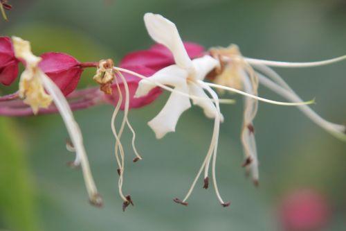 3 clero tri paris 2 juil 3 2011 135.jpg