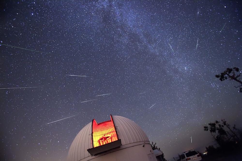 perseids by david  harvey