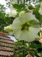 Jeudi Macro Folie #4 Jeudi Macro Folie #4