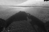 Curiosity livre ses premières photos de Mars