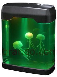 Un aquarium USB