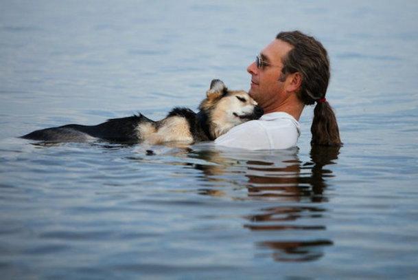 Cette très jolie photo d’un chien et de son maître fait fondre le web