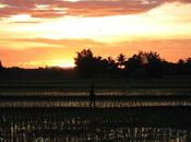 Issan, quand sourire remplace larmes [HD-24']