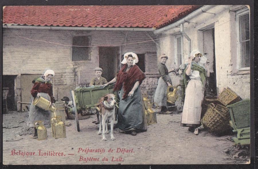 Les chiens de la campagne !