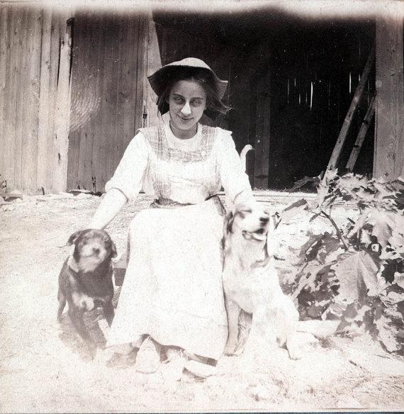 Les chiens de la campagne !