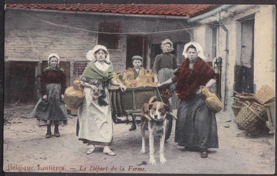 Les chiens de la campagne !