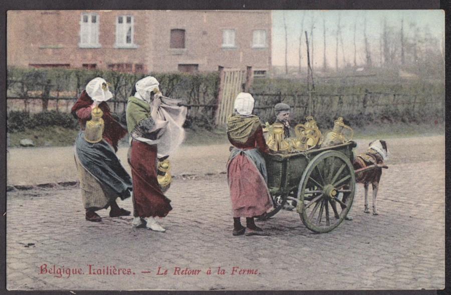 Les chiens de la campagne !