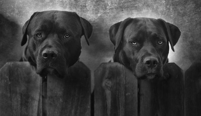 Tuto vidéo pour apprendre à sécuriser votre iPhone...