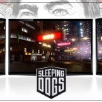 Sleeping Dogs