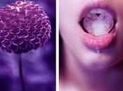 Inspirations summer 2012 (#8)