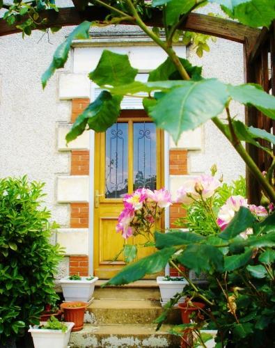 pergola, fleur, rose, porte, entrée, escalier, dalle, allée