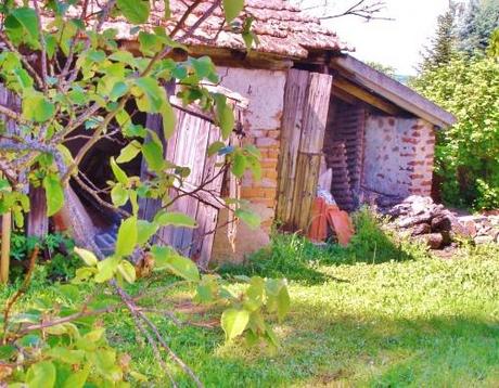 cabane, appentis, abri, jardin, herbe, pelouse, pommier, allée