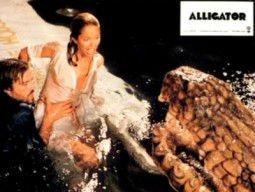 alligator-527-1