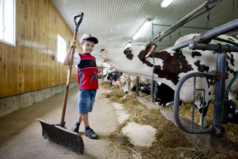 Un camp vachement original