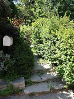 La découverte du jardin…