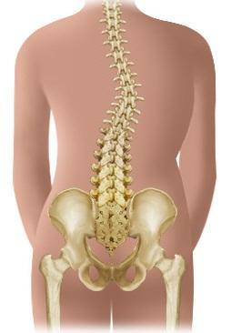 scoliose lombaire mal de dos scoliose lombaire mal de dos