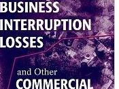 Référence évaluation d’entreprise quantification dommages :Measuring Business Interruption Losses Other Commercial Damages