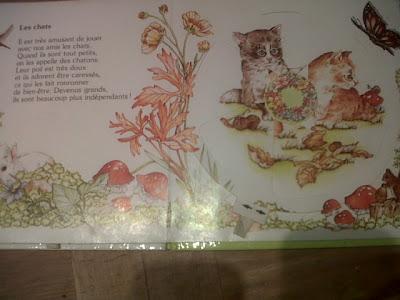 A la recherche du Vintage