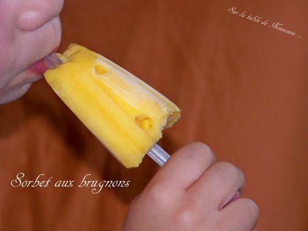 Sorbet aux brugnons