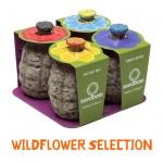 La grenade 100% écolo… Optez pour la guerilla jardinnage !