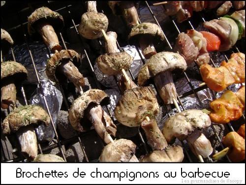 Brochettes-de-champignons-au-barbecue.jpg