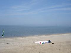 La main invisible de la plage