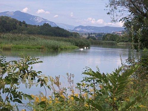 Plan d'eau à Motz 1