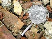 Tweeter histoires curieuses