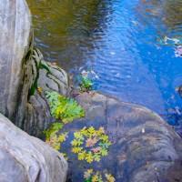 danmala-Kathy-Klein-8