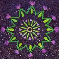 danmala-Kathy-Klein-2