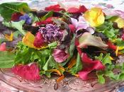 Initiation cuisine florale dégustation pour dînatoire ferme horticole