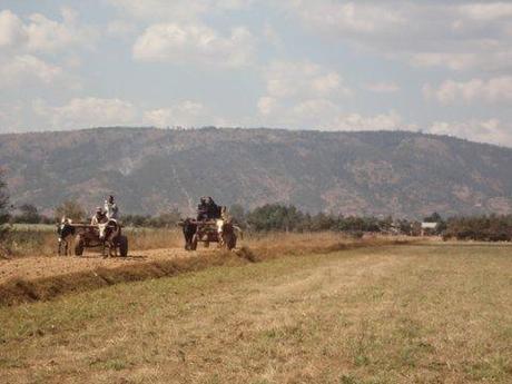 Pranarôm à Madagascar : un bel été… en hiver!