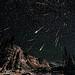 Snowy Range Perseids Meteor Shower