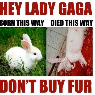 Lady Gaga manteau de fourrure  fur coat