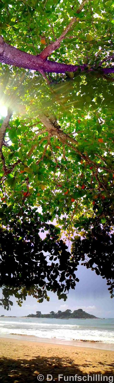 Une promenade panoramique à Ezile Bay