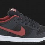 nike-sb-aout-2012-14