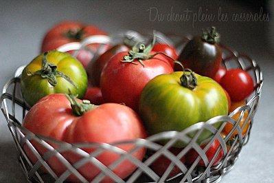 Ivresse-tomatiere.jpg