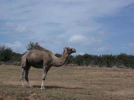 famille + planète sauvage 041b