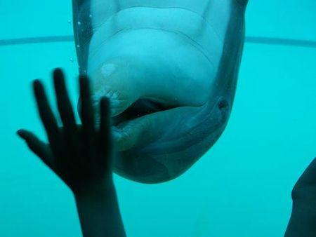 famille + planète sauvage 044