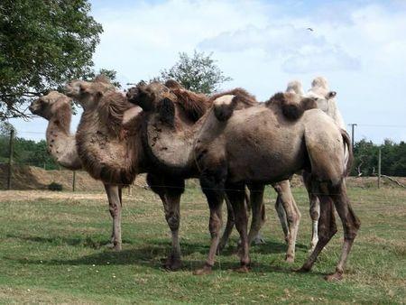 famille + planète sauvage 037b